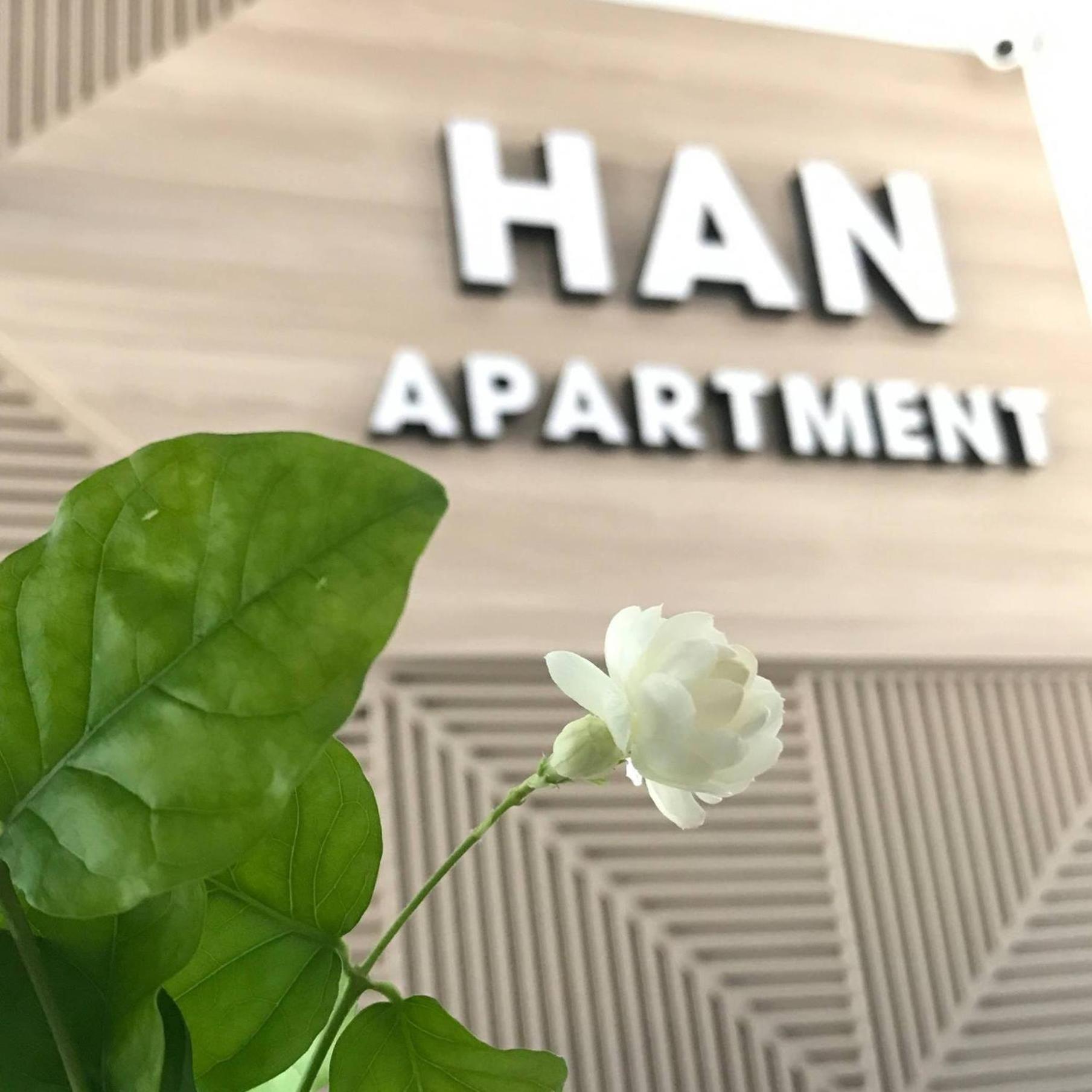 Han Apartment Ντα Νανγκ Εξωτερικό φωτογραφία